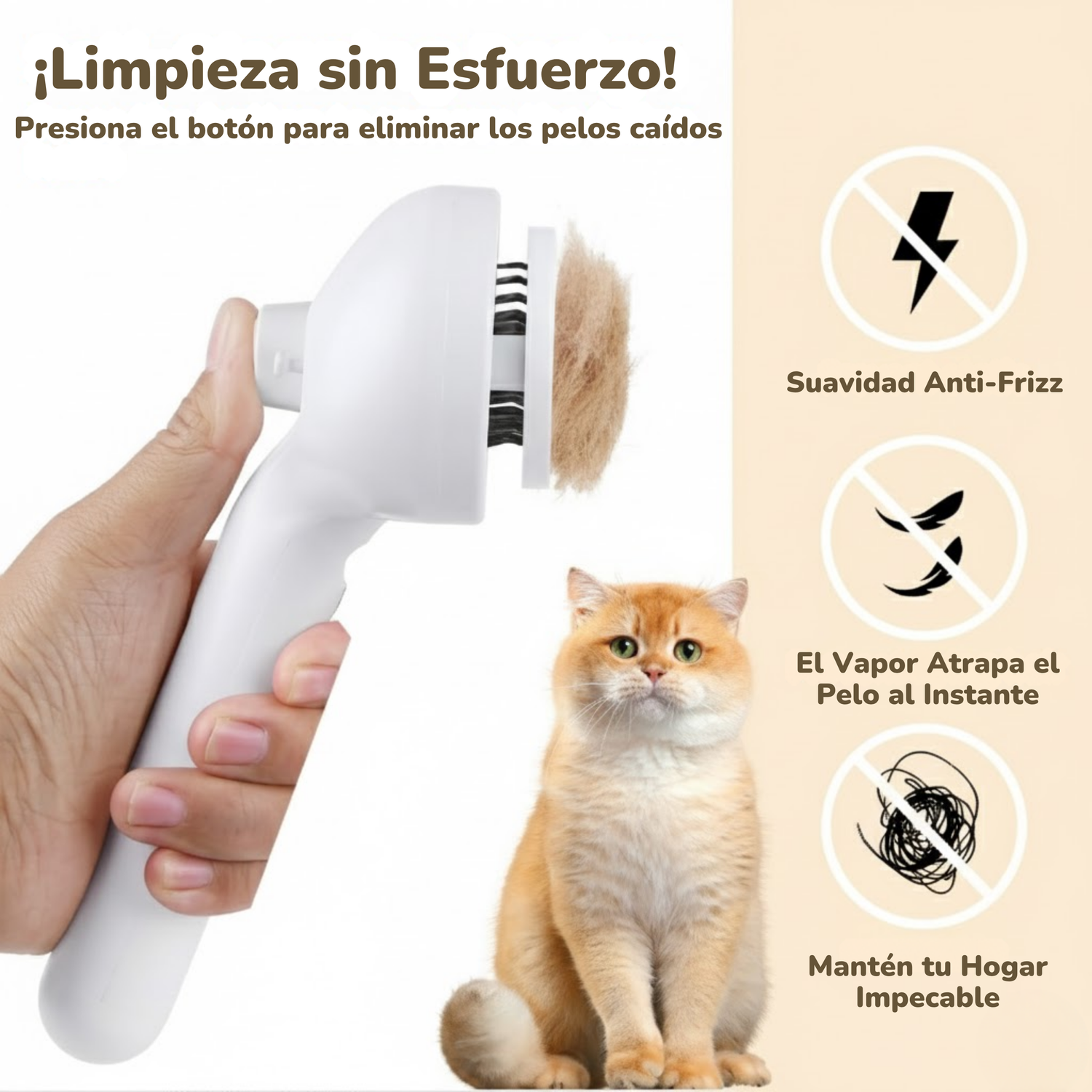 Steam Pet Brush