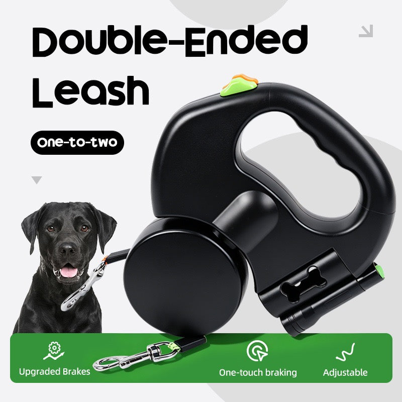 Walk Two Dogs With One Hand