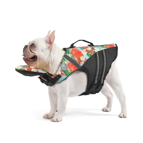 Water Safety for Dogs