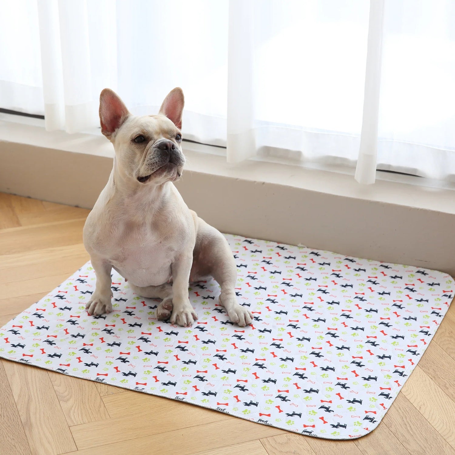 Puppy Pad - The Last Pee Pad You'll Get