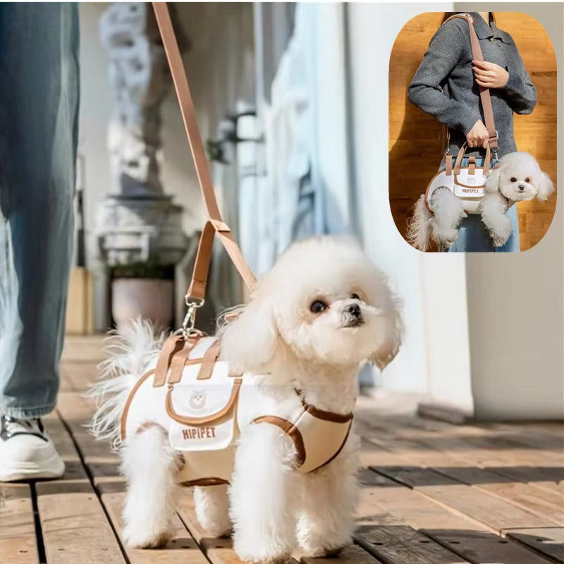 Puppy Carrier