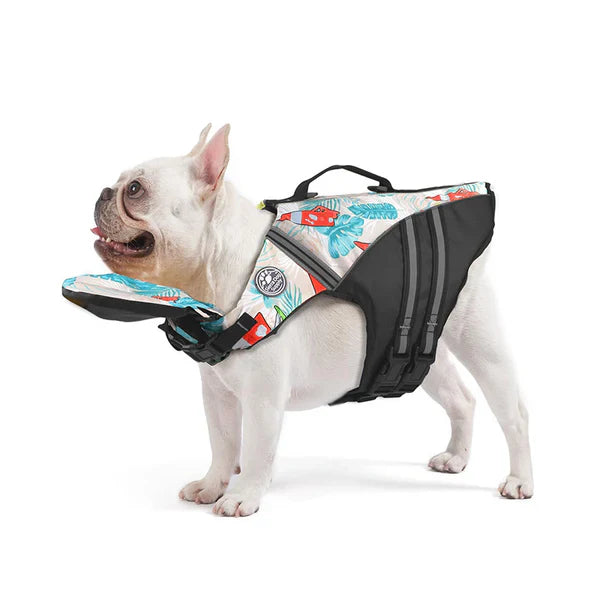 Water Safety for Dogs