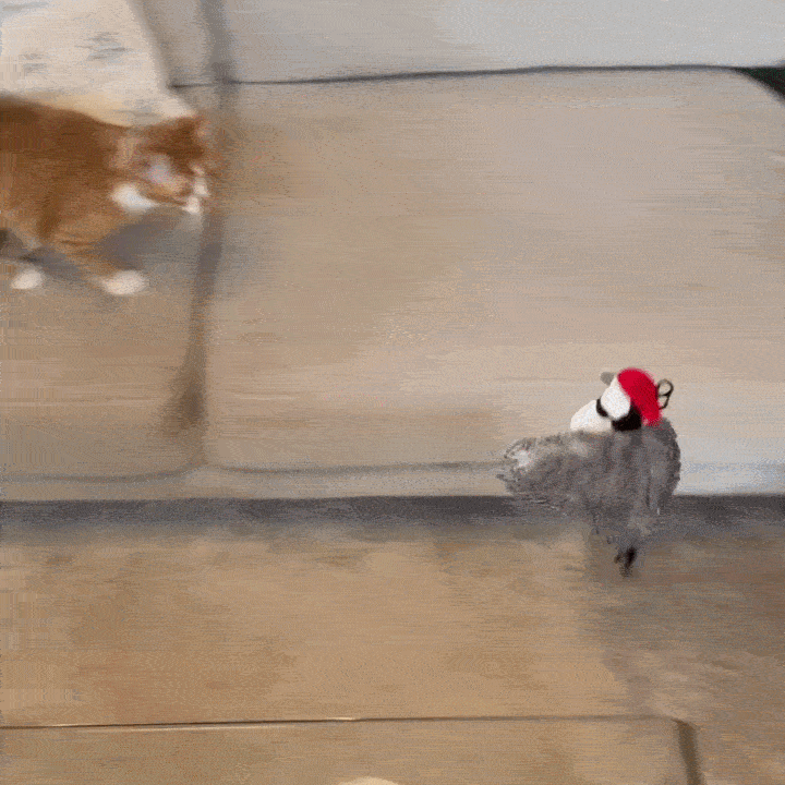 Flapping Bird Toy